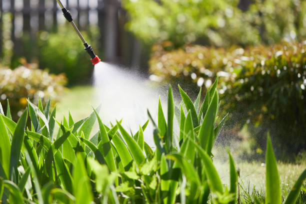 Tamper-Resistant Bait Stations for Rodents in Moyock