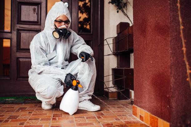 Attic and Crawl Space Rodent Treatment in Moyock