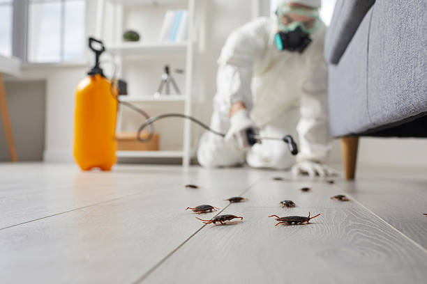 Commercial Rodent Management in Moyock